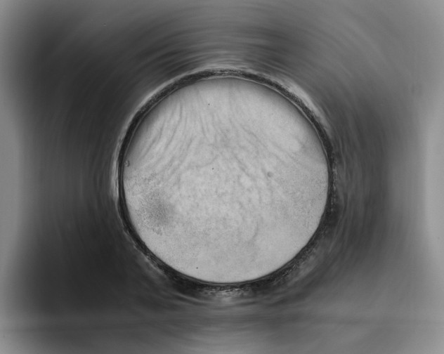 X0000096160791200802151414