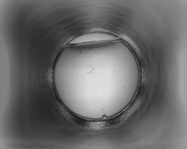 X0000096160793200802151414