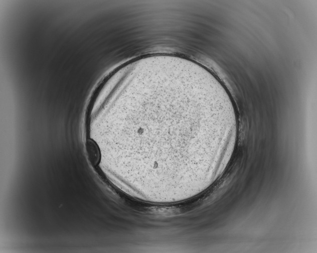 X0000096160795200802151414