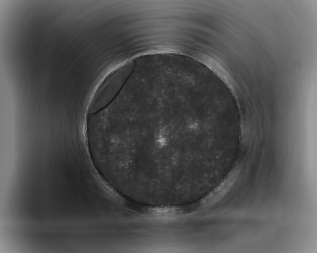 X0000096160797200802151414