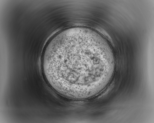 X0000096160798200802151414