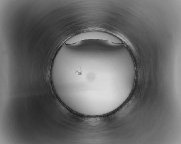 X0000096160801200802151413