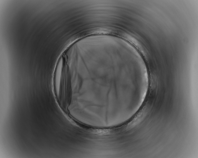 X0000096160802200802151413