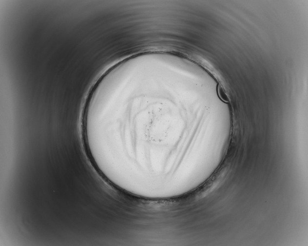 X0000096160803200802151413