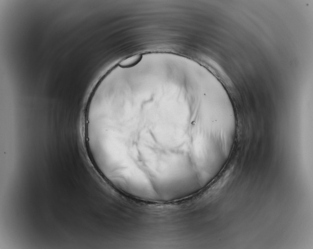 X0000096160804200802151413