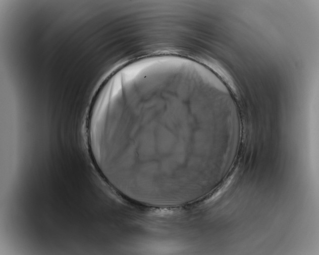 X0000096160806200802151413