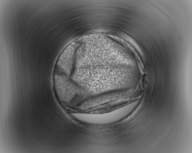 X0000096160810200802151413