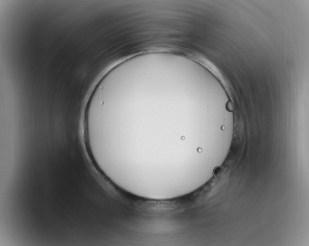 X0000096160811200802151413