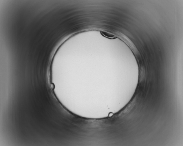 X0000096160812200802151413