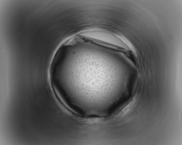 X0000096160813200802151413