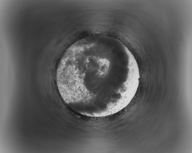 X0000096160817200802151413