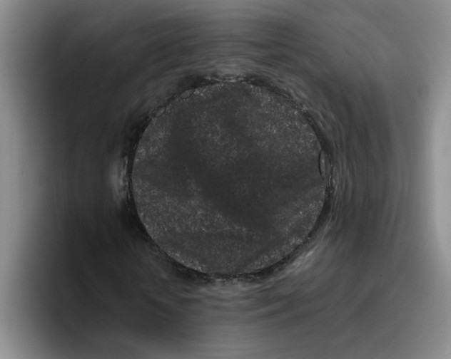 X0000096160818200802151413