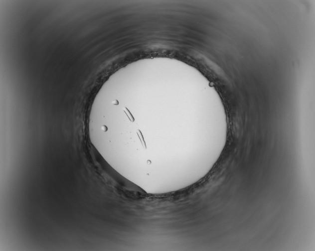 X0000096160821200802151413