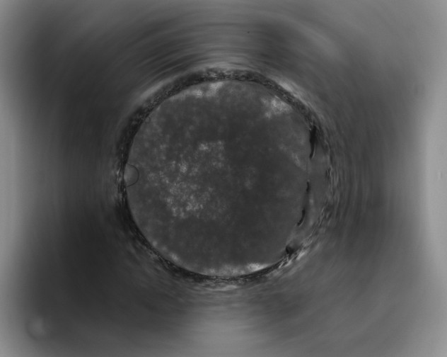 X0000096160822200802151413