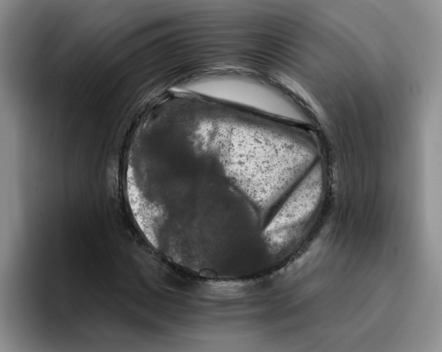 X0000096160825200802151413