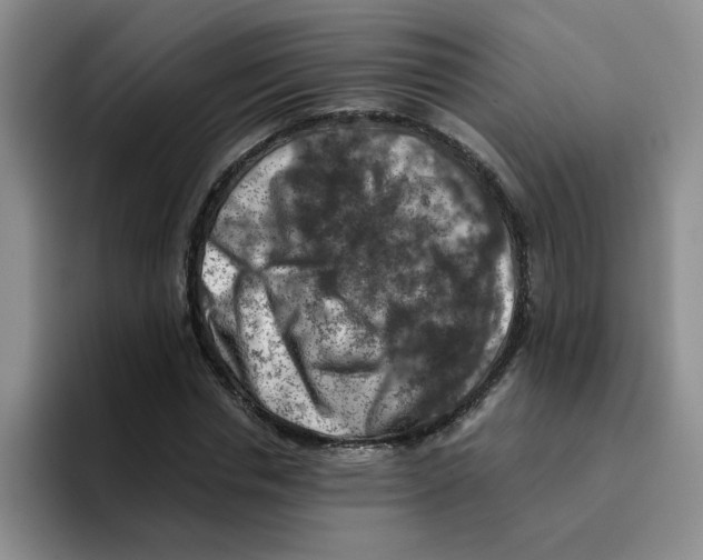 X0000096160826200802151413