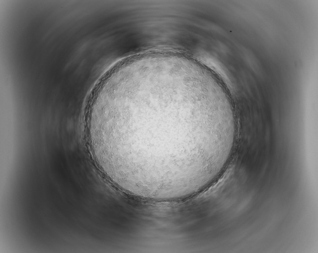 X0000096160828200802151413