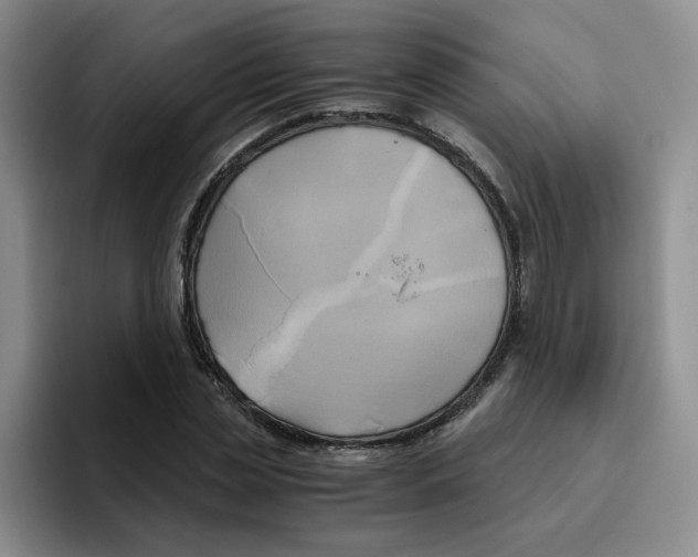 X0000096160829200802151413