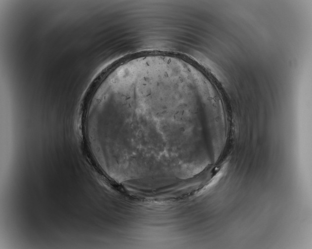 X0000096160830200802151413
