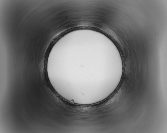 X0000096160831200802151413