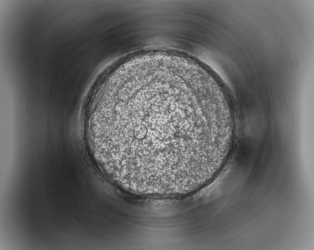 X0000096160832200802151413