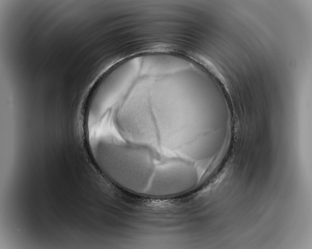 X0000096160835200802151413