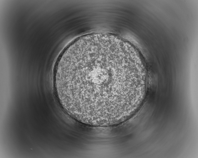 X0000096160836200802151413