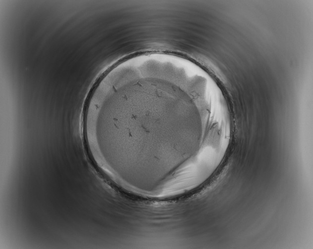X0000096160839200802151413