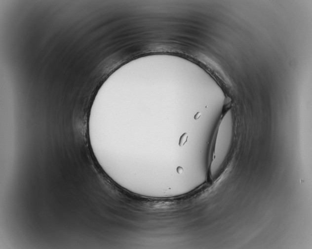 X0000096160841200802151413