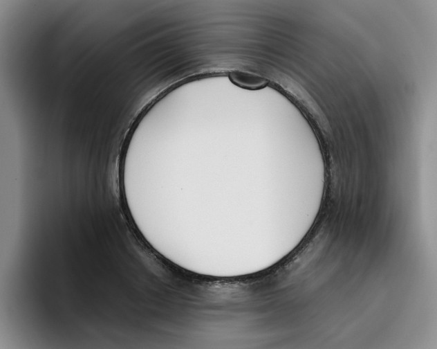 X0000096160842200802151413