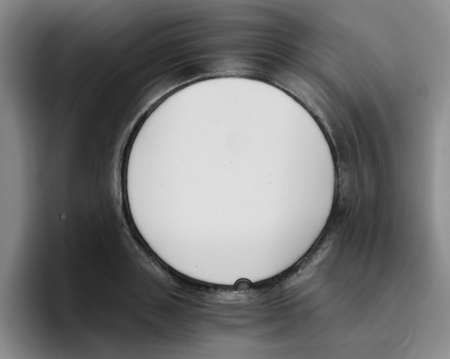 X0000096160843200802151413