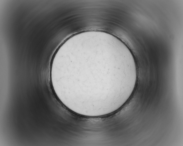 X0000096160844200802151413