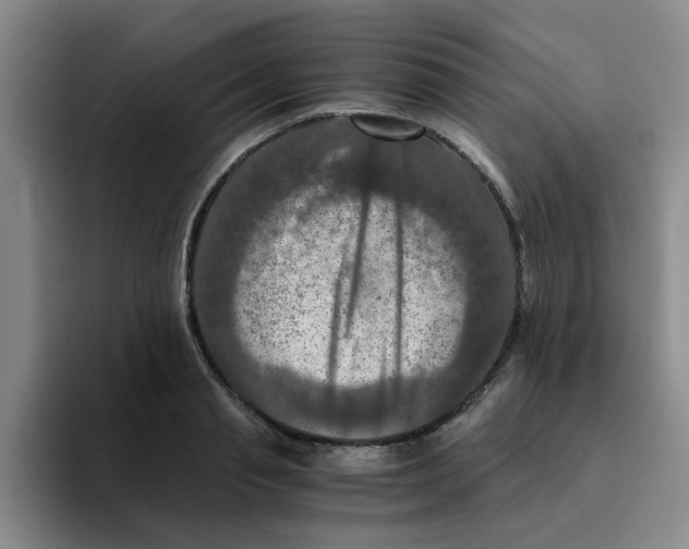 X0000096160845200802151413