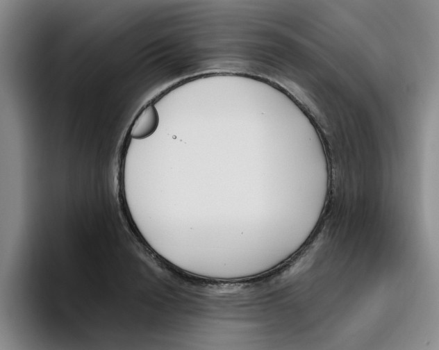 X0000096160846200802151413