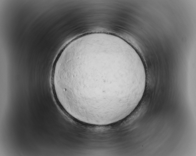 X0000096160847200802151413