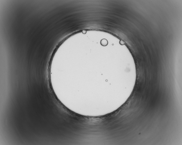 X0000096160848200802151413