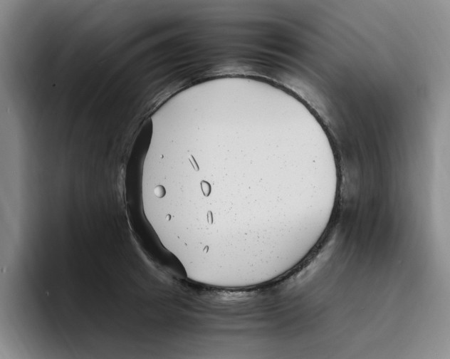 X0000096160849200802151413