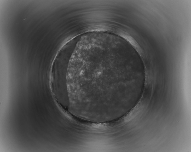 X0000096160850200802151413