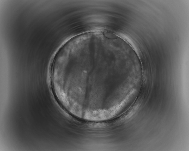 X0000096160851200802151413