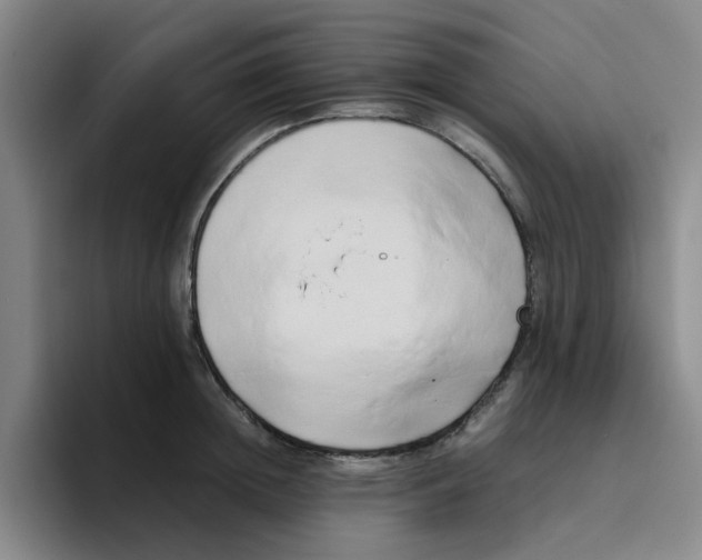 X0000096160852200802151413