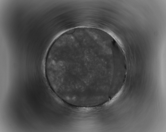 X0000096160854200802151413