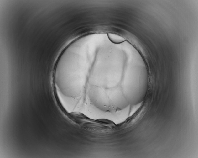 X0000096160855200802151413