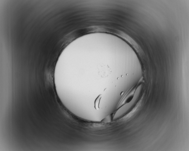 X0000096160857200802151413