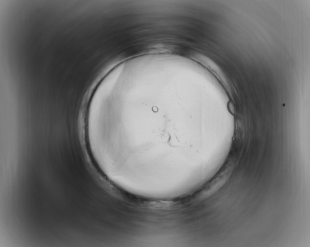 X0000096160859200802151413