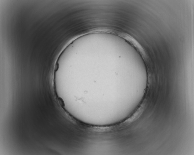 X0000096160860200802151413