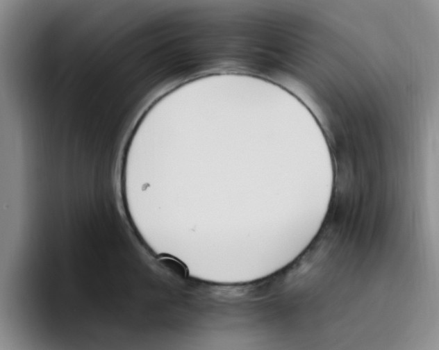 X0000096160861200802151413