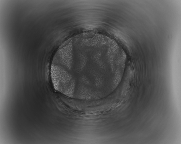 X0000096160868200802151413