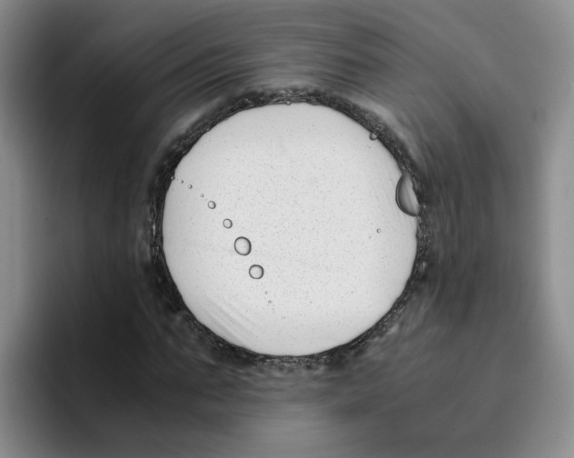 X0000096160871200802151413