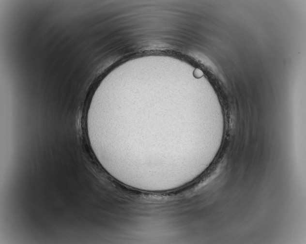 X0000096160873200802151413