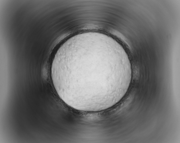 X0000096160874200802151413